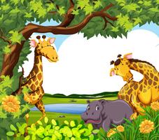 Giraffer och flodhäst vid dammen vektor