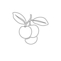 eine durchgehende Strichzeichnung des ganzen gesunden organischen Longan für die Logoidentität des Obstgartens. Frisches Fruchtkonzept für Obstgarten-Symbol. moderne einzeilig zeichnende Grafikdesign-Vektorillustration vektor