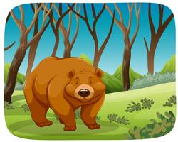 Ein Grizzlybär im Wald vektor