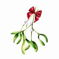 vattenfärg jul grön mistel med röd satin rosett. ny år botanisk illustration av kissing symbol isolerat på vit bakgrund. för designers, dekoration, affär, för vykort, omslag papper vektor