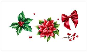 vattenfärg uppsättning av jul julstjärna och järnek bär. ny år botanisk december symbol illustration isolerat på vit bakgrund. för designers, dekoration, affär, för vykort, omslag pape vektor
