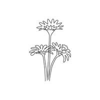 enda kontinuerlig linjeteckning av skönhet färska asteraceae för trädgård logotyp. utskrivbart dekorativt asterblommakoncept för väggkonst heminredningsaffisch. trendiga en rad rita design vektorillustration vektor