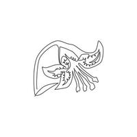 einzelne einzeilige Zeichnung von Beauty Fresh Lilium für das Gartenlogo. Druckbare dekorative Tigerlilie Blume für Wandkunst Wohnkultur Posterdruck. moderne durchgehende Linie zeichnen Design-Vektor-Illustration vektor