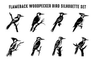 Specht Silhouette Clip Art bündeln, Flammenrückseite Specht Vogel Silhouetten einstellen vektor