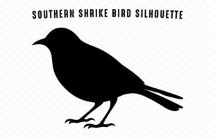 sydlig grå skata fågel silhuett klämma konst, en skata fågel svart silhuett vektor