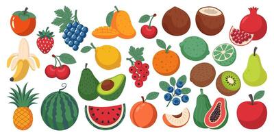 einstellen von verschiedene Früchte und Beeren. Sammlung von organisch Vitamine und gesund Ernährung. isoliert auf ein Weiß Hintergrund. vektor