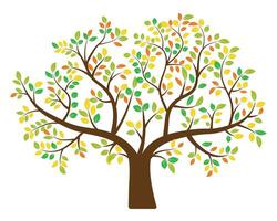 abstrakt bunt Baum Symbol Design. Wachstum und Weisheit Logo Design. Grün Baum Symbol. vektor