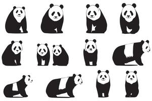 Panda Symbol einstellen . Illustration von ein Panda auf ein Weiß Hintergrund. vektor