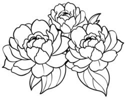 schwarz Weiß Linie skizzieren Blume Kunst vektor