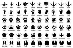 uppsättning Tass skriva ut silhuett ikon. djur- fotavtryck symbol design illustration vektor