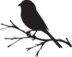 Spatz Silhouette Illustration auf Weiß Hintergrund. Spatz Logo. vektor