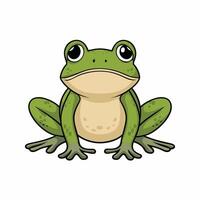 süß Karikatur Frosch Satz, Animation Rahmen. bezaubernd wenig Frosch lächelnd, Springen, krächzen, winken und fangen fliegen mit Zunge. einfach eben Stil Illustration. vektor