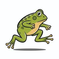 süß Karikatur Frosch Satz, Animation Rahmen. bezaubernd wenig Frosch lächelnd, Springen, krächzen, winken und fangen fliegen mit Zunge. einfach eben Stil Illustration. vektor