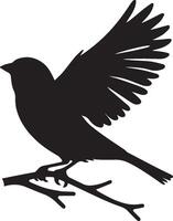 Spatz Silhouette Illustration auf Weiß Hintergrund. Spatz Logo. vektor