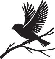 Spatz Silhouette Illustration auf Weiß Hintergrund. Spatz Logo. vektor