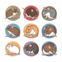 tecknad serie mus uppsättning. grå hårig gnagare liten råtta med rosa hårlös svans gående eller Sammanträde isolerat på vit. illustration för sällskapsdjur, djur, vilda djur och växter begrepp vektor
