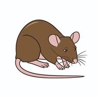 Karikatur Maus Satz. grau pelzig Nagetier wenig Ratte mit Rosa unbehaart Schwanz Gehen oder Sitzung isoliert auf Weiß. Illustration zum Haustier, Tier, Tierwelt Konzept vektor