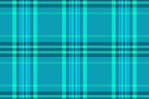 Muster Stoff prüfen von nahtlos Tartan Textil- mit ein Plaid Textur Hintergrund . vektor