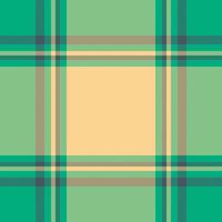 Textur Hintergrund von Tartan Muster Textil- mit ein Plaid Stoff prüfen nahtlos. vektor