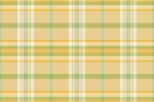 kung tartan textur pläd, checker sömlös kolla upp bakgrund. ha på sig mönster textil- tyg i traditionell guld och ljus färger. vektor