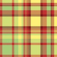 kolla upp mönster av pläd tartan textur med en tyg textil- bakgrund sömlös. vektor