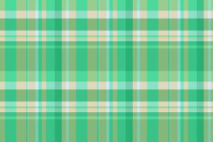 Textur prüfen Textil- von nahtlos Muster mit ein Stoff Plaid Tartan Hintergrund. vektor