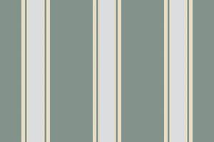 Vertikale Linien Streifen Hintergrund. Streifen Muster nahtlos Stoff Textur. geometrisch gestreift Linie abstrakt Design. vektor