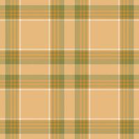 Plaid nahtlos Muster. prüfen Stoff Textur. Textil- drucken. vektor