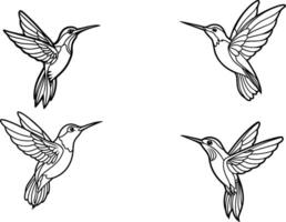kolibri illustration dragen i linje konst stil vektor