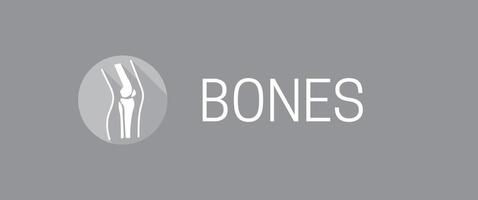 Knochen Hintergrund Illustration Banner Design vektor