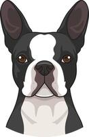 boston terrier ansikte illustration vektor