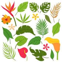 uppsättning av tropisk växter i platt stil. tropisk löv grenar och blommor. sommar botanik. vektor