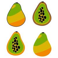 ein einstellen von Abbildungen abbilden ganze und geschnitten Papaya, zeigen hell Farben und detailliert Konturen, ist Ideal zum kulinarisch und lehrreich Grafik. süß Illustration mit und ohne Gliederung vektor