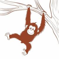 orangutang illustration på vit bakgrund vektor