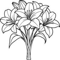 Amaryllis Blume Gliederung Illustration Färbung Buch Seite Design, Amaryllis Blume schwarz und Weiß Linie Kunst Zeichnung Färbung Buch Seiten zum Kinder und Erwachsene vektor