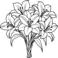 Amaryllis Blume Gliederung Illustration Färbung Buch Seite Design, Amaryllis Blume schwarz und Weiß Linie Kunst Zeichnung Färbung Buch Seiten zum Kinder und Erwachsene vektor