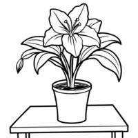 Amaryllis Blume Gliederung Illustration Färbung Buch Seite Design, Amaryllis Blume schwarz und Weiß Linie Kunst Zeichnung Färbung Buch Seiten zum Kinder und Erwachsene vektor