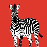 Zebra schwarz und Weiß Illustration vektor