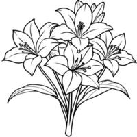 Amaryllis Blume Gliederung Illustration Färbung Buch Seite Design, Amaryllis Blume schwarz und Weiß Linie Kunst Zeichnung Färbung Buch Seiten zum Kinder und Erwachsene vektor