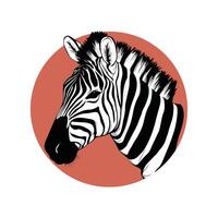 Zebra schwarz und Weiß Illustration vektor