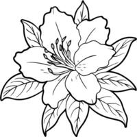 Azalee Blume Gliederung Illustration Färbung Buch Seite Design, Azalee Blume schwarz und Weiß Linie Kunst Zeichnung Färbung Buch Seiten zum Kinder und Erwachsene vektor