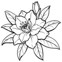azalea blomma översikt illustration färg bok sida design, azalea blomma svart och vit linje konst teckning färg bok sidor för barn och vuxna vektor