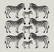 zebra svart och vit illustration vektor