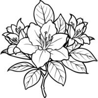 azalea blomma översikt illustration färg bok sida design, azalea blomma svart och vit linje konst teckning färg bok sidor för barn och vuxna vektor