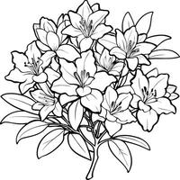 azalea blomma översikt illustration färg bok sida design, azalea blomma svart och vit linje konst teckning färg bok sidor för barn och vuxna vektor