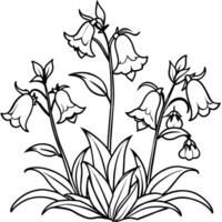 canterbury klockorna blomma översikt illustration färg bok sida design, canterbury klockorna blomma svart och vit linje konst teckning färg bok sidor för barn och vuxna vektor