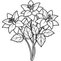 Akelei Blume Gliederung Illustration Färbung Buch Seite Design, Akelei Blume schwarz und Weiß Linie Kunst Zeichnung Färbung Buch Seiten zum Kinder und Erwachsene vektor