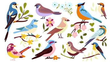 uppsättning av 11 vår fåglar Sammanträde på grenar med blommor, en platt stil illustration ritad för hand, söt stiliserade fåglar blommande grenar. för de design och dekor av vår hälsning kort, posters vektor