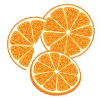 Satz von Teilen von Orange, Mandarine. Hälfte, Scheibe und Keil der Orangenfrucht lokalisiert auf weißem Hintergrund. vektor
