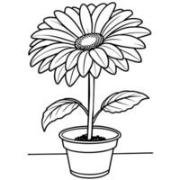 Gerbera Gänseblümchen Blume Gliederung Illustration Färbung Buch Seite Design, Gerbera Gänseblümchen Blume schwarz und Weiß Linie Kunst Zeichnung Färbung Buch Seiten zum Kinder und Erwachsene vektor